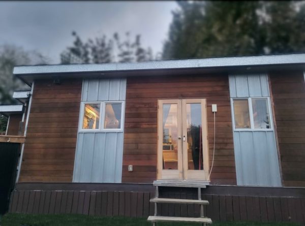 The 2019 - 24 x 10 Tiny Home features a modern design with wood and metal exterior panels, double glass doors, two windows, and wooden steps at the entrance. Trees and a cloudy sky are visible in the background.