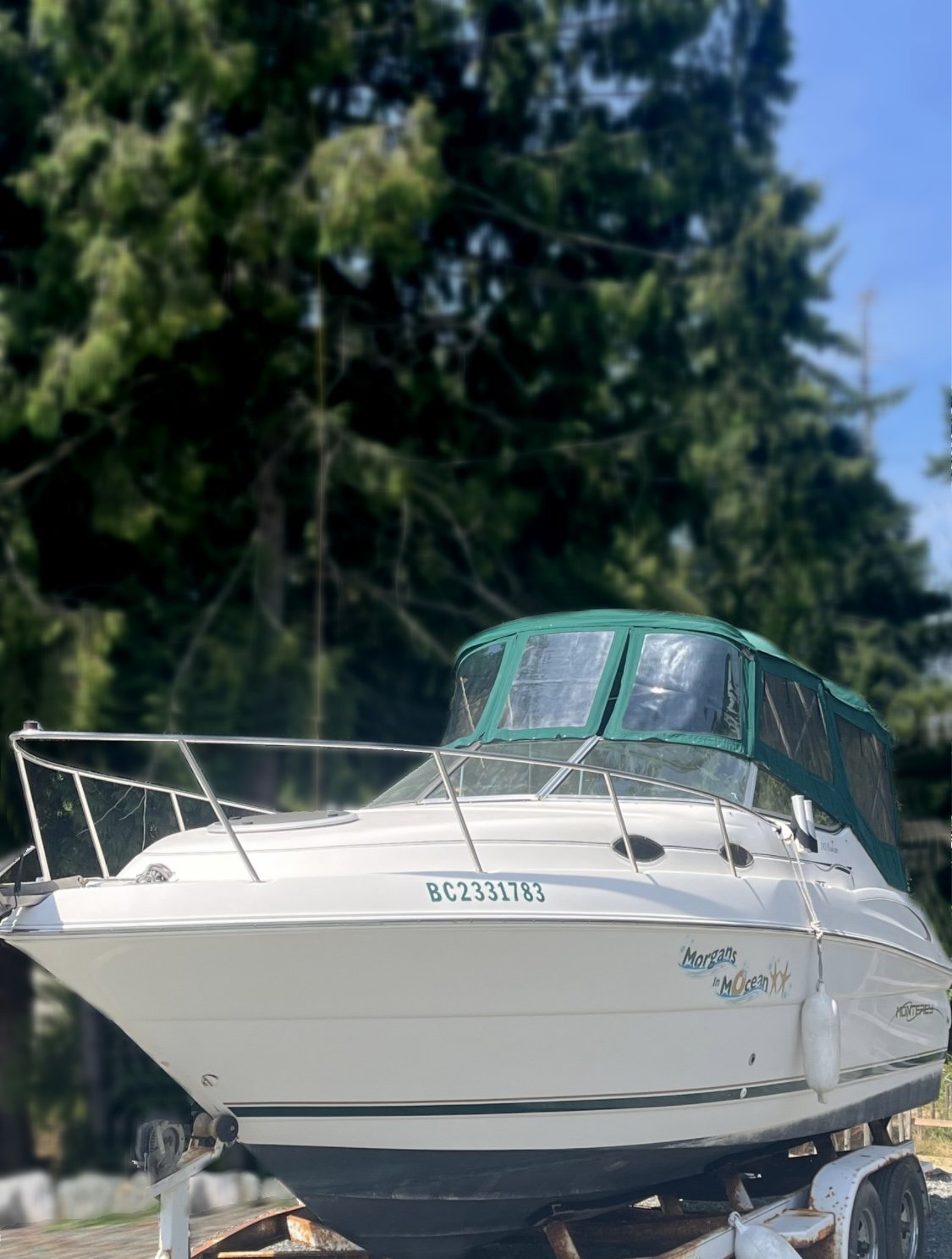 A white 2000 / 24FT Monterey 242 with a green canopy sits on a trailer among tall trees, featuring its registration number and the name “Morgan the Ocean” visible on the side.
