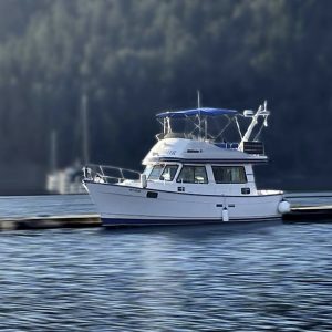 A 1981 / 31FT Campion Adventure Trawler with a blue canopy is docked on calm water, forested shoreline and other boats softly blurred in the background.