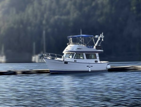 A 1981 / 31FT Campion Adventure Trawler with a blue canopy is docked on calm water, forested shoreline and other boats softly blurred in the background.