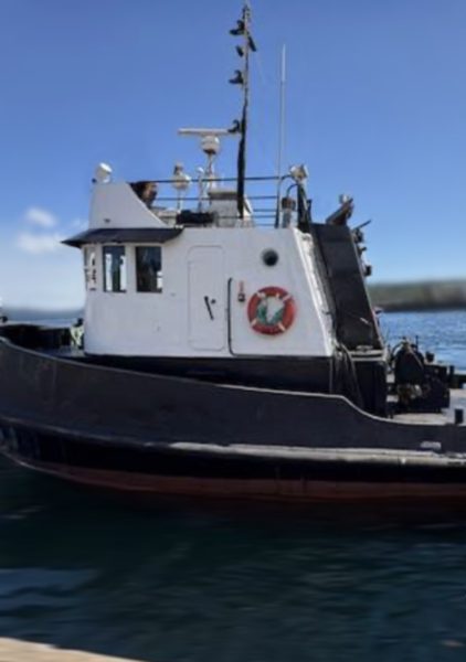 A 1967 / 40FT Mandley Tug in black and white, featuring a red lifebuoy on its side, is docked on calm blue water beneath a clear sky.